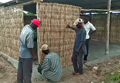 Workers put on the reed sides of the church in Gningbanda