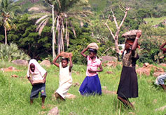 Villagers Carrying Stones to the Construction Site