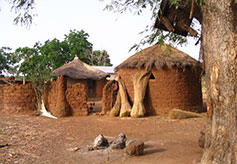 Rural Village Houses