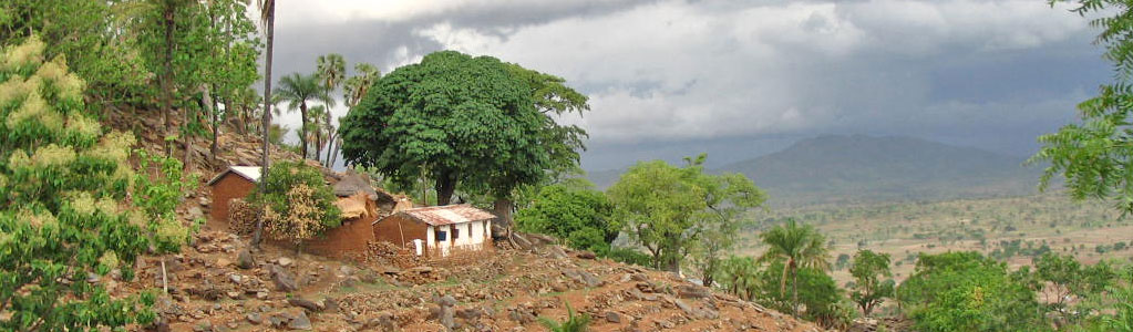 Panorama of Togo Countryside