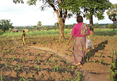 Dirt Path to Rural Village Church