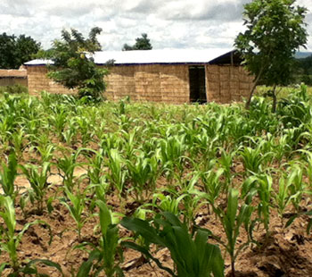 The church among the corn fields in Gningbanda