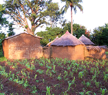 Rural mud brick houses